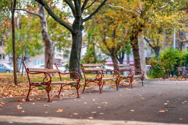 Etrafı yapraklarla ve renkli ağaçlarla çevrili sessiz bir sonbahar parkında boş banklar. Mevsimsel değişim kavramı, huzurlu yalnızlık, şehir doğası, şehir parkındaki sakin atmosfer