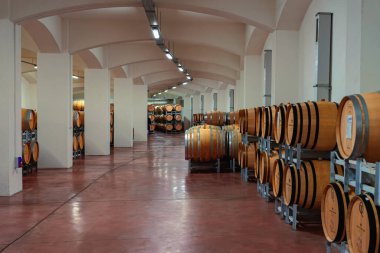 VENETLER, BULGARIA - 08 Ekim 2024: Geniş şarap mahzeni manzarası. Bulgaristan 'daki Minkovi Kardeşler şaraphanesinde büyük miktarlarda meşe fıçısı bulunan geniş şarap mahzeni, profesyonel şarap imalatı