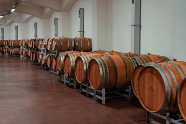 VENETLER, BULGARIA - 08 Ekim 2024 Şarap Varili Koridoru Perspektifi. Yığınla meşe şarabı fıçıları, şarap mahzenleri, şarap yaşlanmaları. Şaraphane üretimi. Minkovi Kardeşler Şaraphanesi, kaliteli Bulgar şarapları