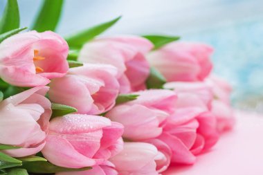 Çiyli pembe lale buketi. Taze pembe lale buketi. Yumuşak yüzeyinde, yapraklarında su damlacıkları var. Bahar tazeliğinin ve çiçek saflığının doğal arka planı