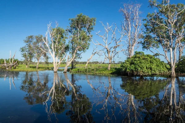 Tree reflections in river — Stock Photo, Image