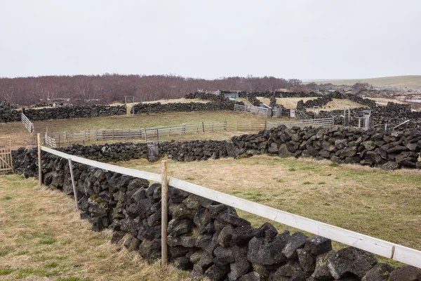 Murallas de roca de basalto, Islandia — Foto de Stock