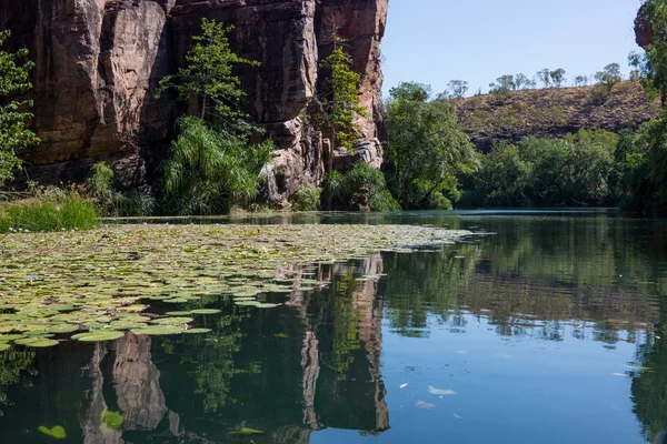 Gazon Hill Gorge, Queensland, Australië — Stockfoto