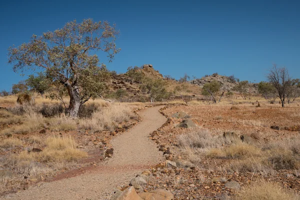 Outback Australië in droogte — Stockfoto