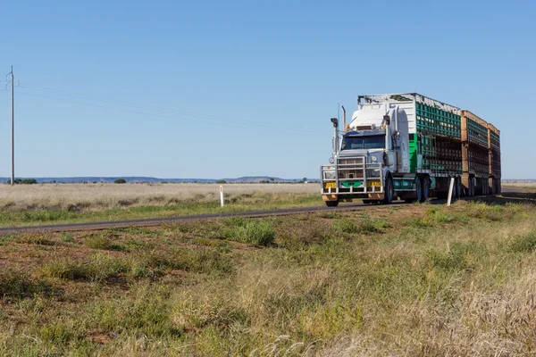 Road train in outback Australia — Stock Photo, Image