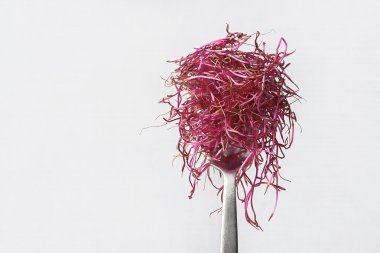 Hafif bir arka plan üzerinde kırmızı pancar lahanası