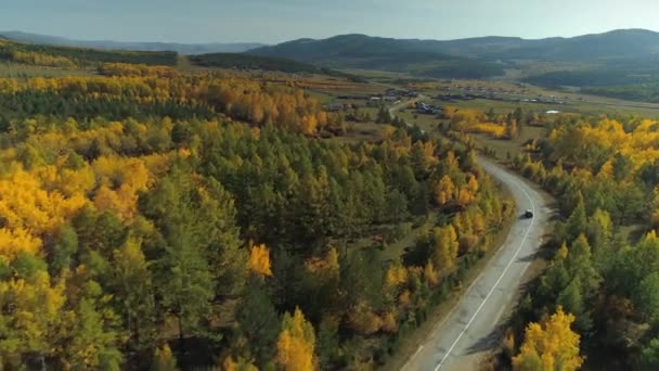 Flight follow car drives along road to old authentic Russian Siberia style wooden houses village through autumn yellow taiga larch forest. Beautiful sunny countryside landscape. Travel tourist bases — Stock Footage Flight Follow Car Drives Road Old Authentic Russian Siberia Style Stock Footage