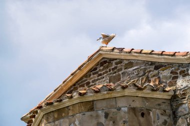 Eski bir taş evin kiremitli çatısının tepesindeki martı.