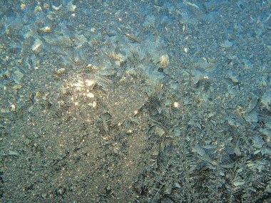 Güneşin doğduğu soğuk bir sabahta, penceredeki buz deseni.