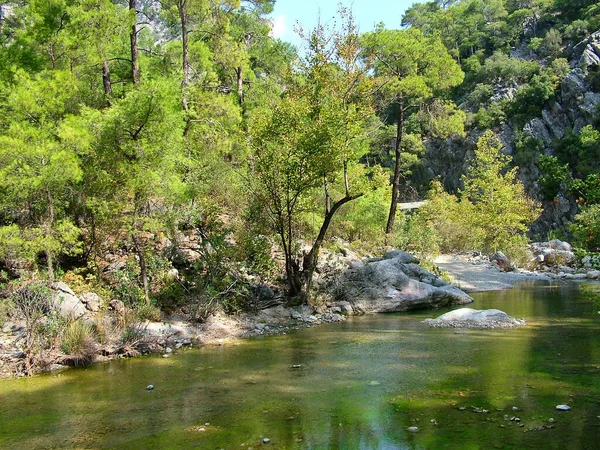 Rivière Dans Canyon Parc National Goynuk Turquie Dans Journée Ensoleillée — Photo