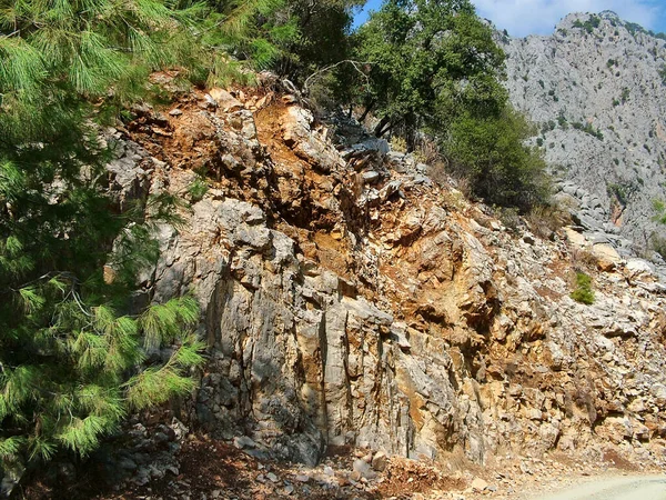 トルコのゴユヌク渓谷にある多色の崖や松の木 — ストック写真