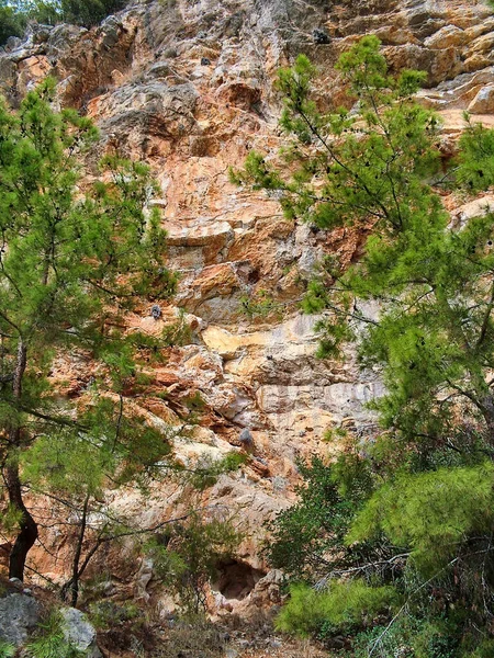 Türkiye Deki Taurus Dağları Nın Arkasındaki Kayalıklarda Çam Ağaçları — Stok fotoğraf