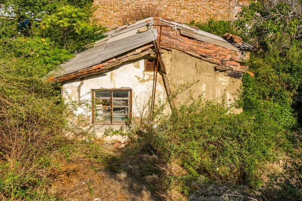 Ancienne Maison Abandonnée Étage Milieu Végétation Verte Sur Fond Mur — Photo