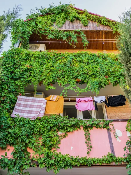 Дом Пышными Растениями Лазания Сушки Одежды Балконе — стоковое фото