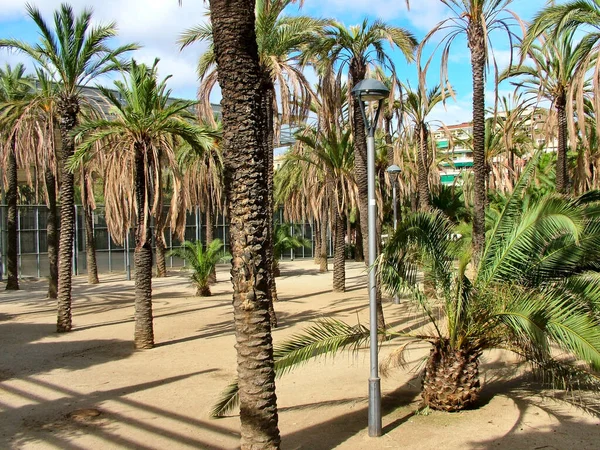 Barcelona Spanien September 2015 Joan Miro Park Eixample Området — Stockfoto