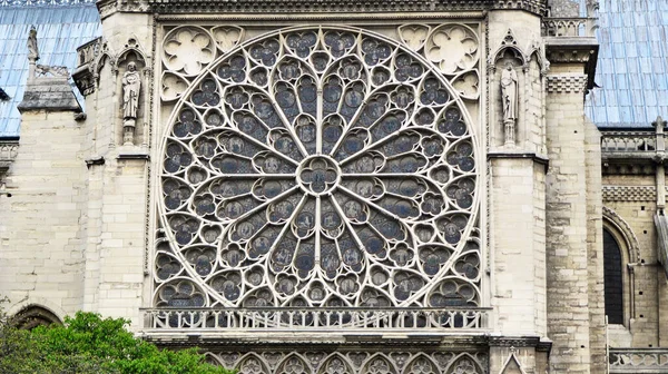 ノートルダム大聖堂の南側にバラ — ストック写真