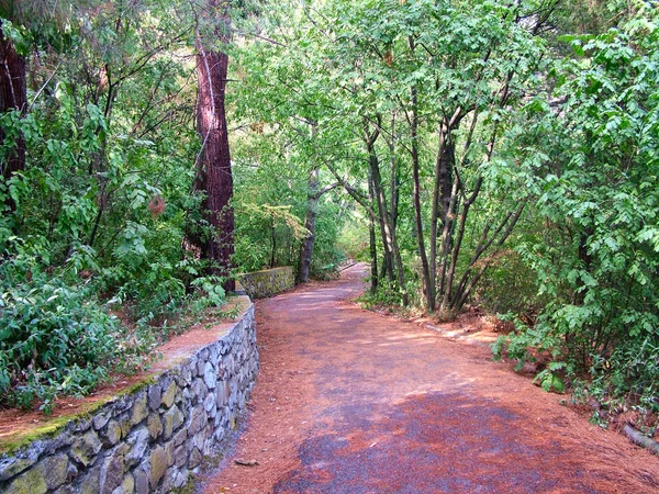 Parco Marittimo Verde Nel Crimea Autunno — Foto Stock