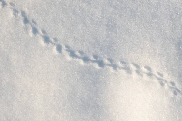 Sombras Padrões Superfície Neve — Fotografia de Stock