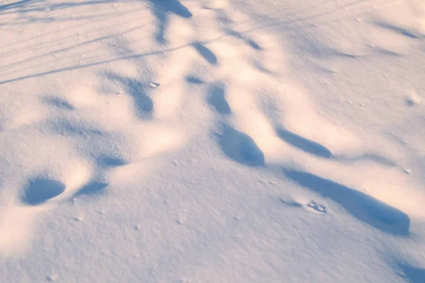 Σκιές Και Μοτίβα Στην Επιφάνεια Του Χιονιού — Φωτογραφία Αρχείου
