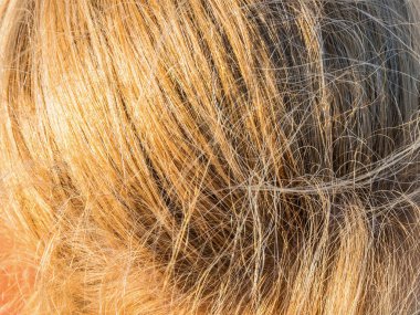 Sarı saçlar güneş ışığında kapanıyor.