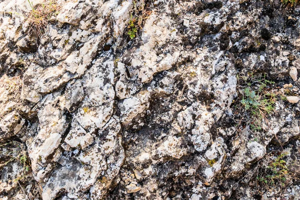 Superficie Rocosa Germinada Por Arbustos Plantas Pie Del Monte Perchem —  Fotos de Stock