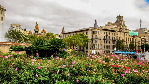 Barselona, İspanya - 23 Eylül 2015: Plaza Catalunya 'da çiçekler. Eixample çeyreğiyle ilgili binalar