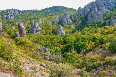 Kırım 'daki Demerdzhi dağlarındaki gizemli, tuhaf kayalar. Hayalet vadi