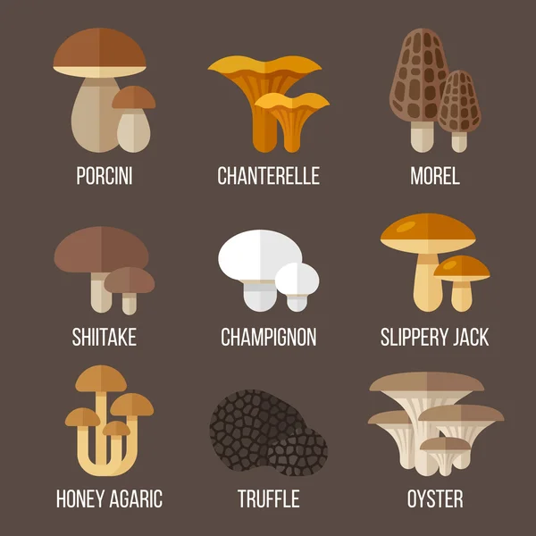 Набор съедобных грибов — стоковый вектор