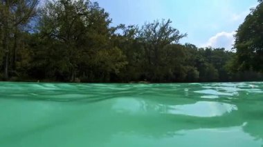 İnsanlar ağaçlarla çevrili turkuaz bir nehirde kürek çekiyorlar. Parlak su yeşil ormanla çelişiyor. Aktivitelerle dolu güneşli bir gün..