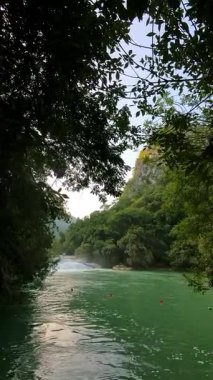 Ziyaretçiler Ciudad Valles 'deki Micos Şelalelerini keşfediyorlar. Berrak su yemyeşil arasında akar. Turistler bölgede farklı faaliyetlerde bulunuyorlar..