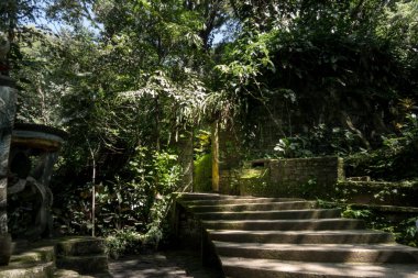 Ziyaretçiler, Castillo de Edward James 'in eşsiz beton yapılarını keşfediyorlar. Konumda yoğun tropikal bitkiler ve parlak yeşil yapraklar arasında uzanan merdivenler yer alıyor..