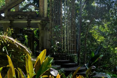 Ziyaretçiler Castillo de Edward James 'i Xilitla' da keşfediyorlar. Yapı, Meksika 'nın San Luis Potosi kentindeki yemyeşil tropikal bitkilerin ortasında duruyor. Doğa bu eşsiz yeri çevreledi..