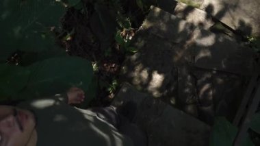 Ziyaretçiler Xilitla 'daki Castillo de Edward James bahçelerinde yürüyorlar. Güneş, yemyeşil bitkiler ve yapılar arasında ışık ve gölgelerle desenler yaratır..