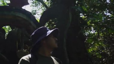 Ziyaretçiler Xilitla 'daki Castillo de Edward James bahçelerinde yürüyorlar. Güneş, yemyeşil bitkiler ve yapılar arasında ışık ve gölgelerle desenler yaratır..