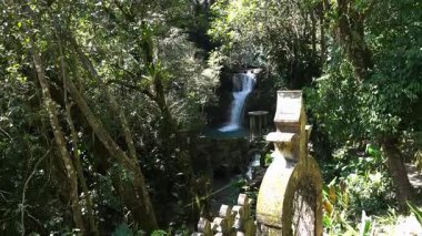 Xilitla, San Luis Potosi, Meksika 'daki Castillo de Edward James' teki eşsiz yapıları araştırın. Bu konum parlak ışıkta yoğun bitki örtüsü arasında ilginç tasarımlar içerir..