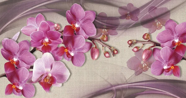 Текстура Шпалер Рожеві Орхідеї Текстурі Полотна Тканини Стокова Картинка