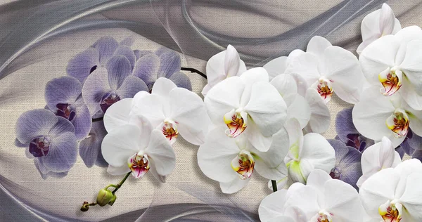 Текстура Обоев Синие Белые Орхидеи Холсте Ткани Текстуры — стоковое фото