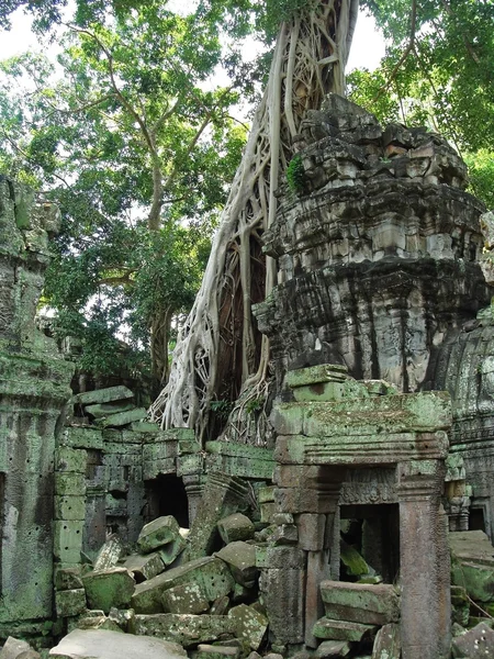 Ruínas antigas de Beng Melia na selva, Camboja . — Fotografia de Stock