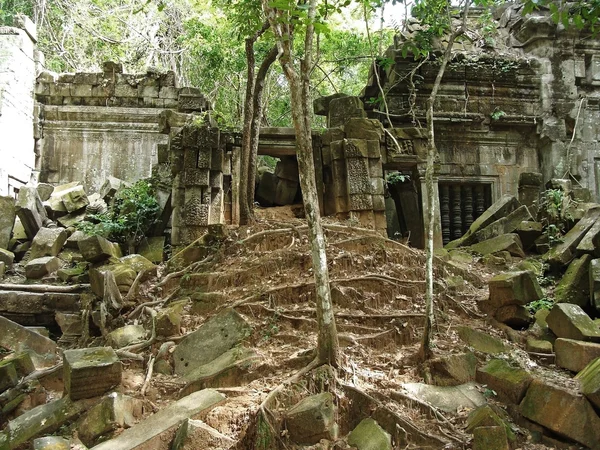 Αρχαία ερείπια του Beng Melia στη ζούγκλα, Καμπότζη. — Φωτογραφία Αρχείου