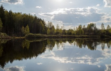 Erken baharda güzel orman gölet. Orta Rusya.