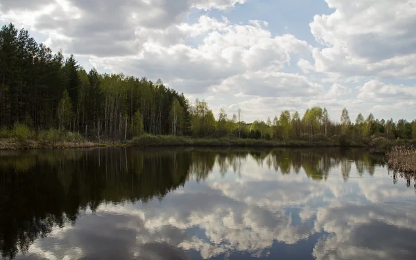 Gyönyörű erdei tó kora tavasszal. Közép-Oroszország. — Stock Fotó