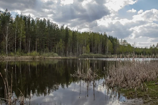 De vijver van het prachtige bos in het vroege voorjaar. Centraal-Rusland. — Stockfoto
