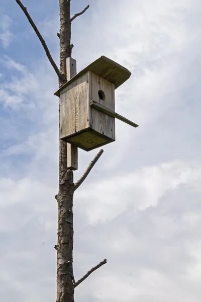 Drewniane birdhouse na suche drzewo. — Zdjęcie stockowe