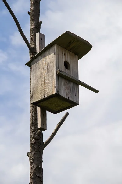 Houten birdhouse op een droge boom. — Stockfoto