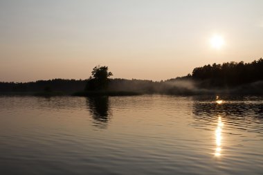 Batan güneşin gölde orman.