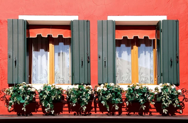 Ventana con Flores, Murano, Italia — Foto de Stock