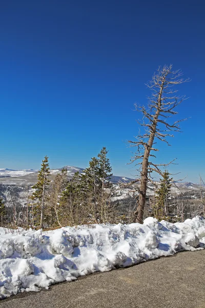 Winter road in the National Park in California, USA — Stock Photo, Image