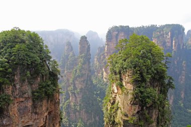 Ünlü Zhangjiajie National Forest Park Hunan eyaleti, Çin.