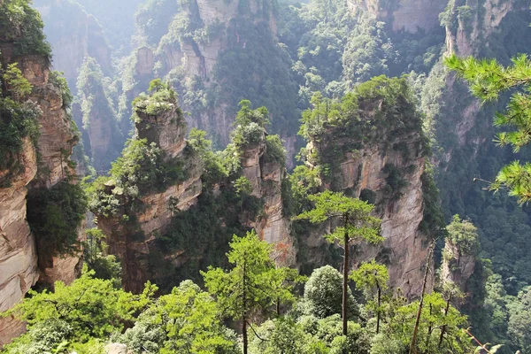 Slavný Zhangjiajie National Forest Park v provincie Hunan, Čína. — Stock fotografie