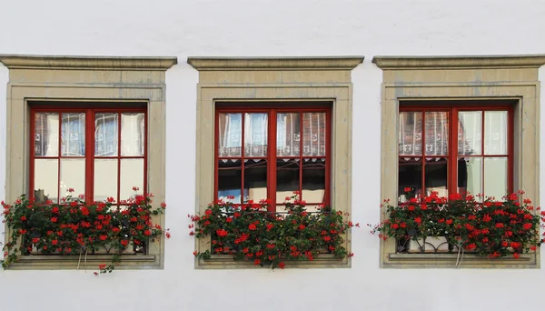 Ventanas con flores. Stein-am-rhein, Suiza . — Foto de Stock